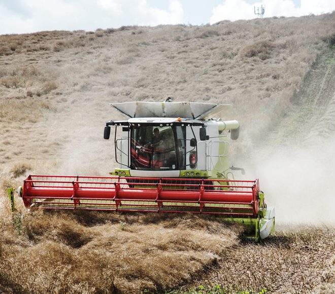 agrisoil